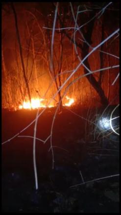 Kebakaran Hutan di Kiapik Padukuhan Dukuh RT 06