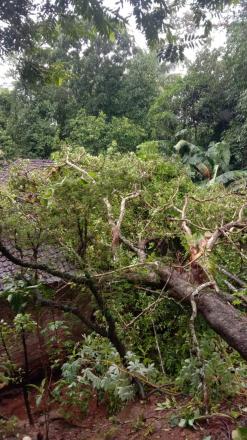 Bencana Angin Kencang disertai Hujan di Beberapa Wilayah Seloharjo