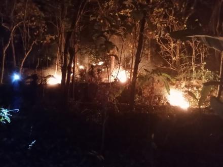 Kebakaran Hutan di Padukuhan Boboktempel