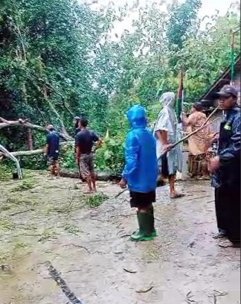 Hujan Tiada Berhenti, Pohon Tumbang di Padukuhan Karangasem 